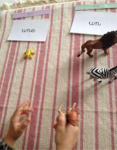 animaux miniatures